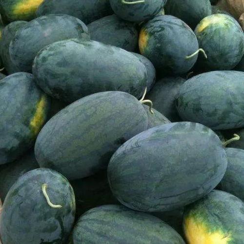 779us吃瓜黑料,吃瓜黑料背后的真相与争议